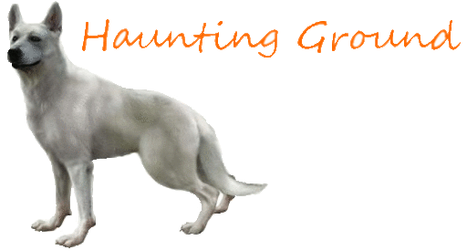 Haunting Ground - Руководство. Специально для Gamer.ru